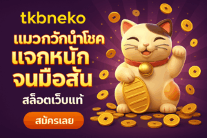 tkbneko แมวกวักนำโชค
